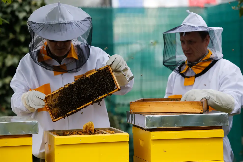 Slovenian beekeepers. Photo: Anže Malovrh/STA