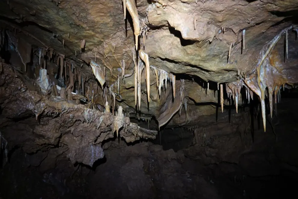 Limestone formations in one of the karst caves discovered during the construction of the Koper-Divača rail track. Photo: ZRC SAZU Karst Research Institute/2TDK